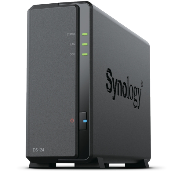 Synology DS124 inkl. 22TB (1x22TB)